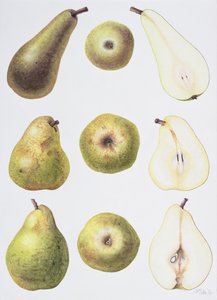 Sei pere, 1994